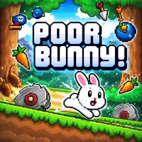 Poor Bunny